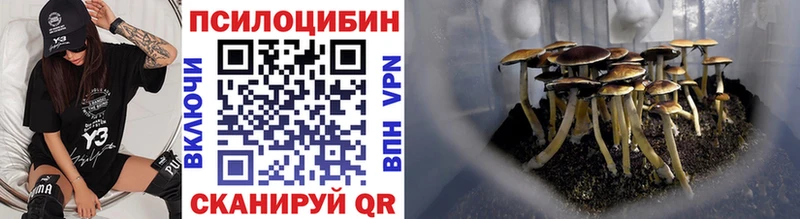 Псилоцибиновые грибы мухоморы  Купить закладки  Мышкин 